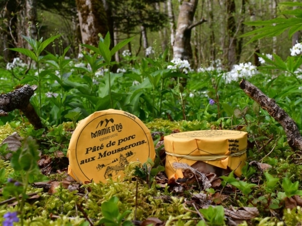 photo de conserve artisanale de pâté de porc aux mousserons , produit régional