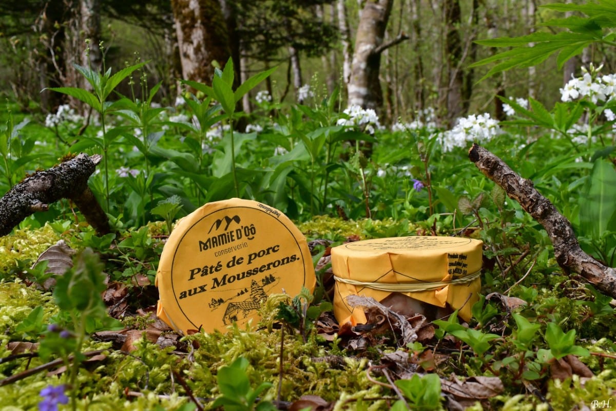 photo de conserve artisanale de pâté de porc aux mousserons , produit régional