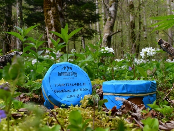 photo de conserve artisanale de tartinable aux endives au bleu d'Auvergne , produit régional