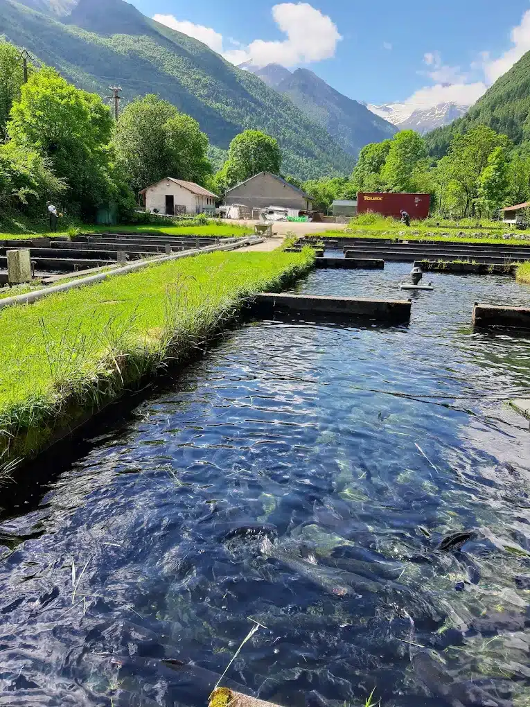 pisciculture-oo Pisciculture d'Oô à deux pas de chez Mamie d'Oô