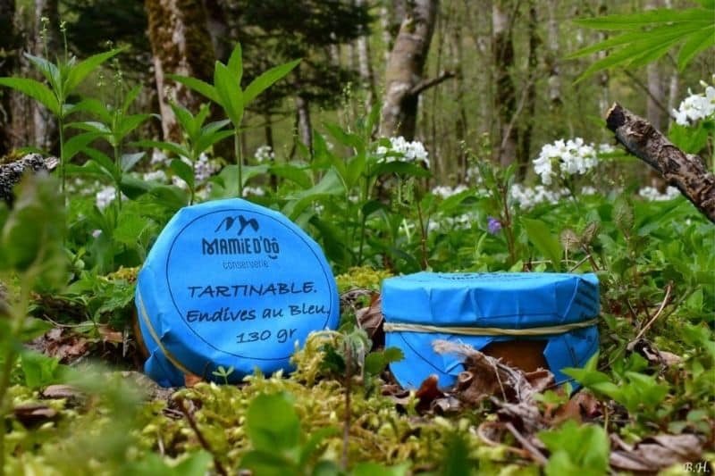 categorie-tartinables-vegetariens-produit-nu Tartinable aux endives et au bleu sur une tranche de pain